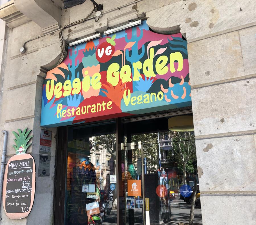 Veggie Garden